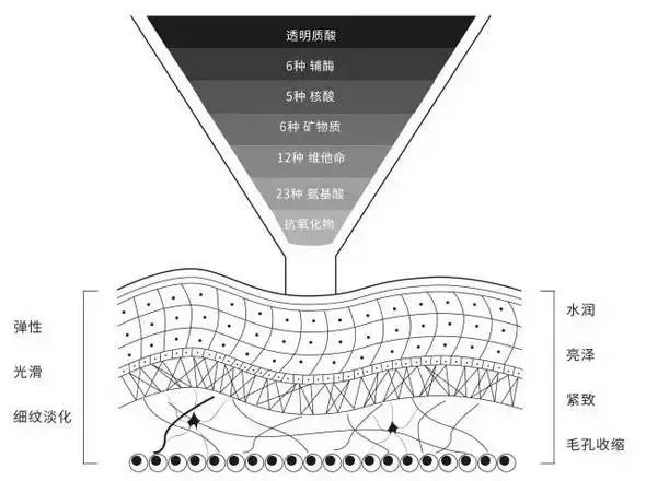 菲洛嘉“贵”在哪里，和普通水光有什么区别？ : -4